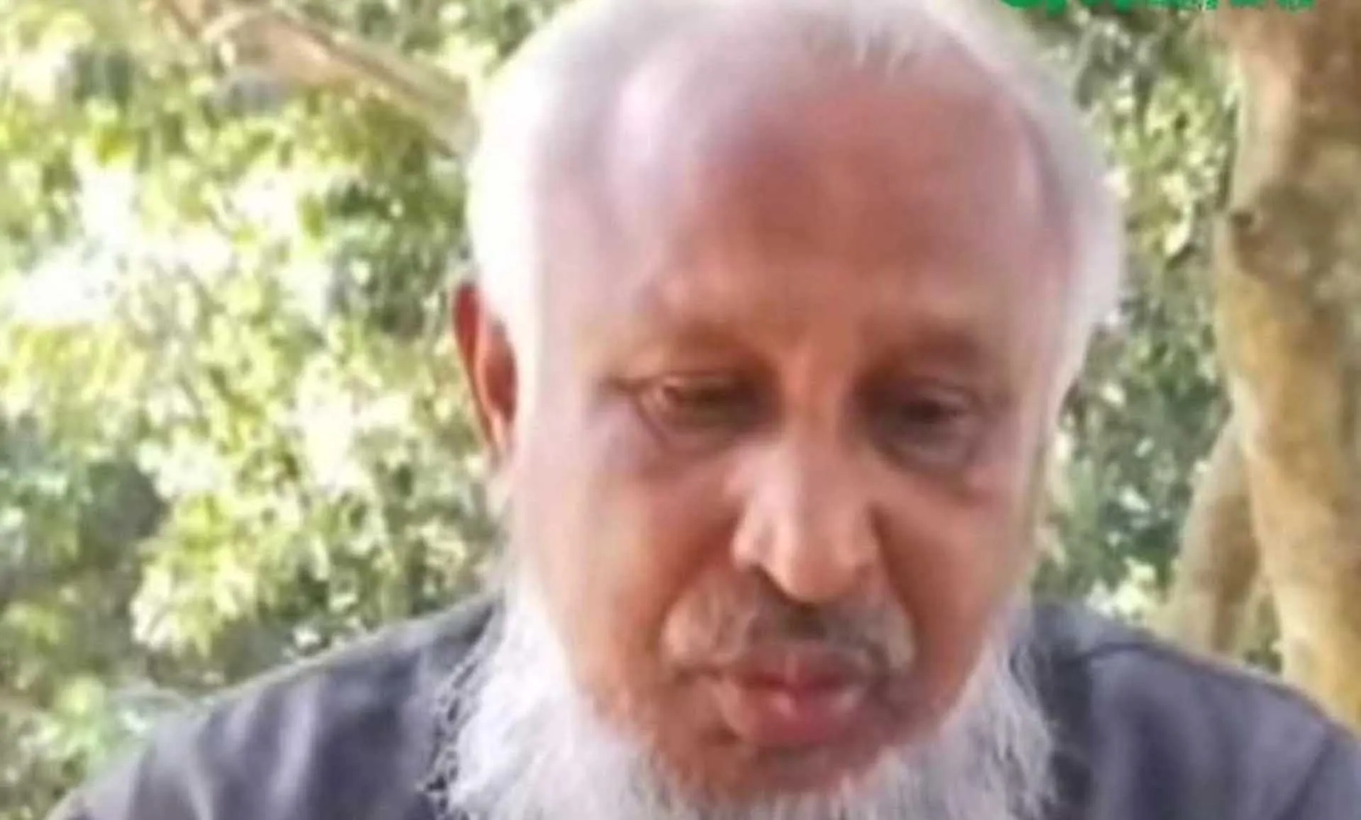 জামায়াতকে কচুকাটা করার হুমকি, পরিশেষে ক্ষমা চাইলেন বিএনপি নেতা