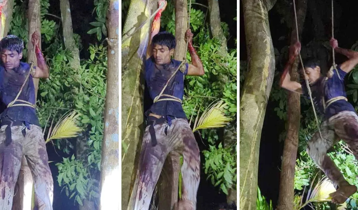 মাদকাসক্ত যুবক শিশুকে খুন করে মগডালে, গ্রেপ্তারে ৪ ঘণ্টার রুদ্ধশ্বাস অভিযান