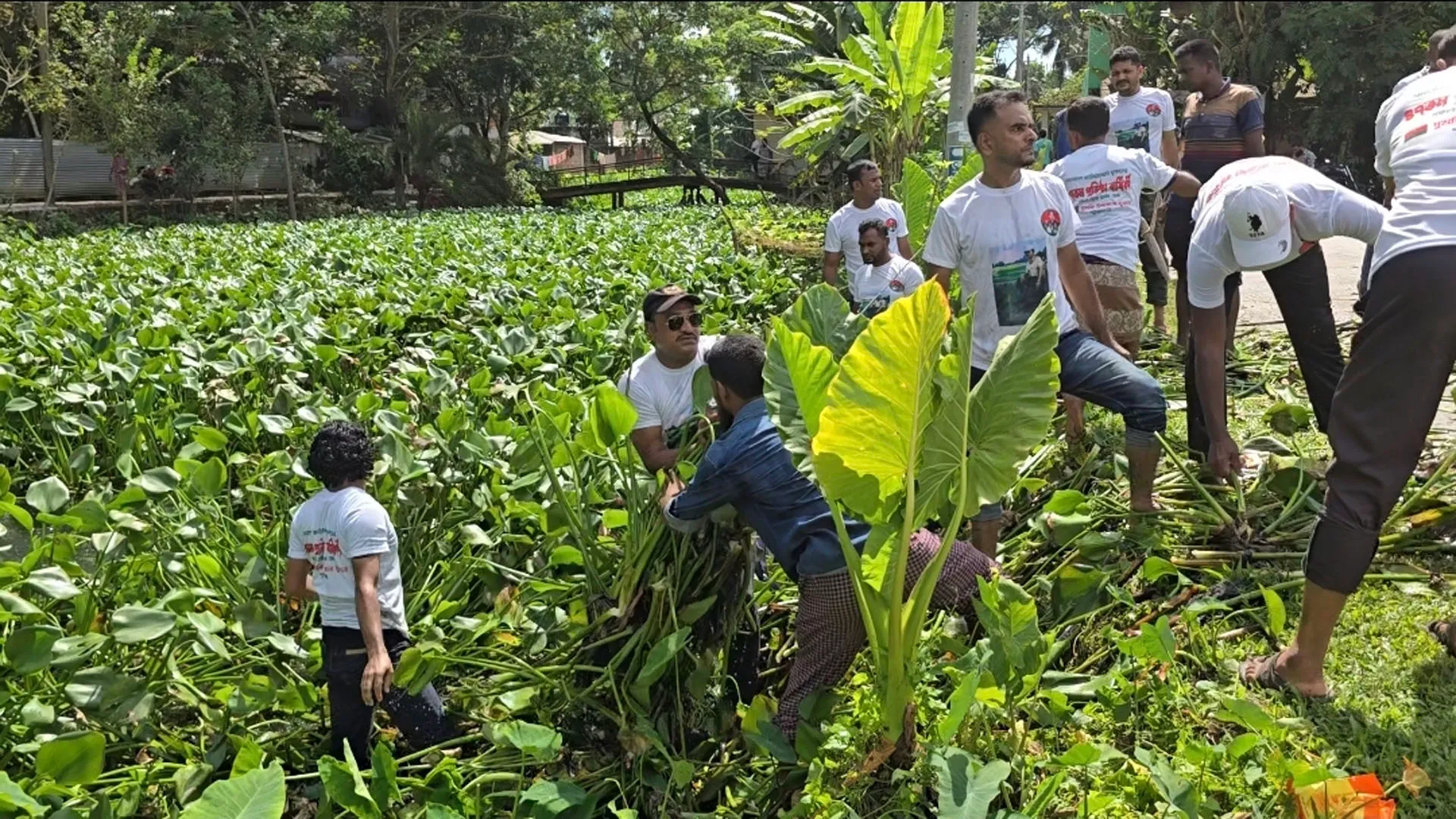 দুমকিতে যুবদলের উদ্যোগে খাল পরিষ্কার অভিযান