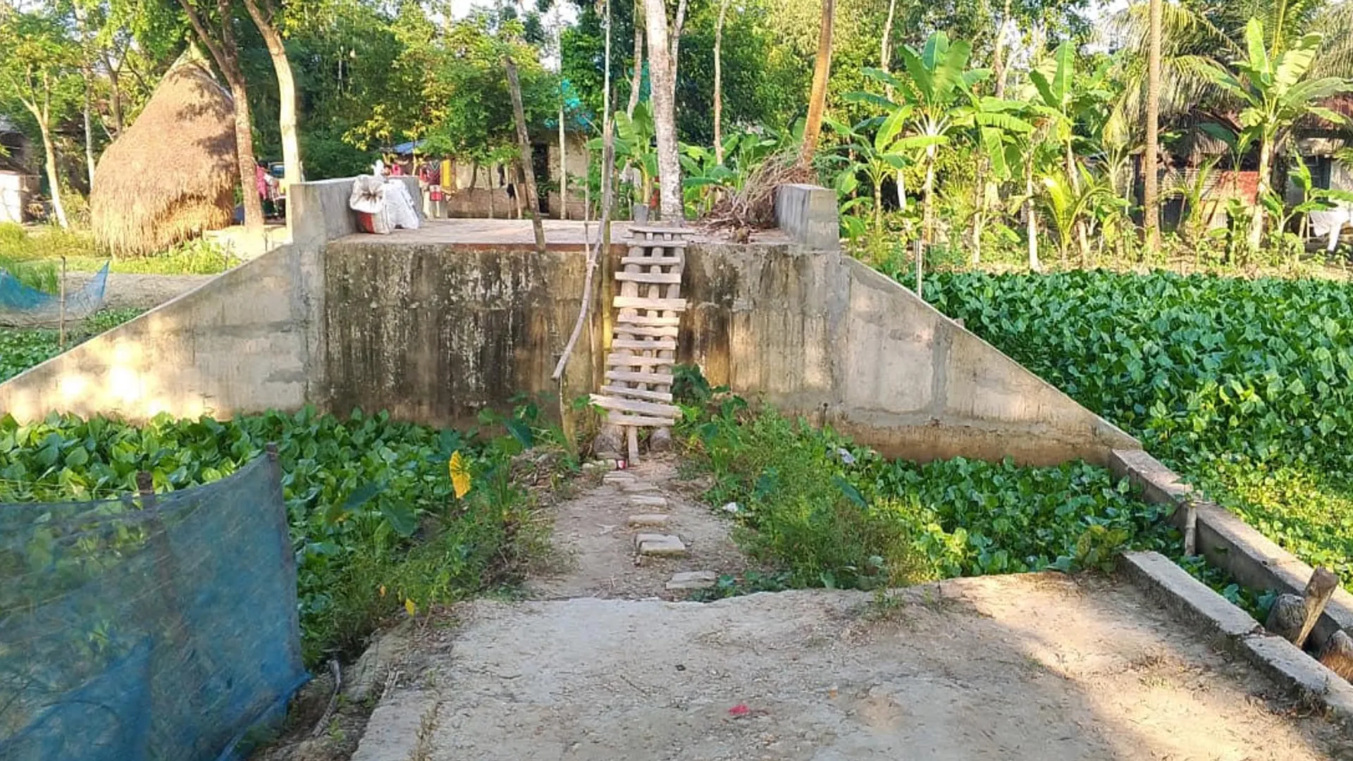 ৩২ লাখ টাকার সেতু শুধুই দেখার বস্তু, পারাপারে ভরসা বাঁশ-কাঠের মই!