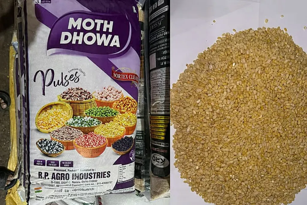 ভারতের মথ ডাল এ দেশে এসে মুগ ডাল হয়ে যাচ্ছে কেন
