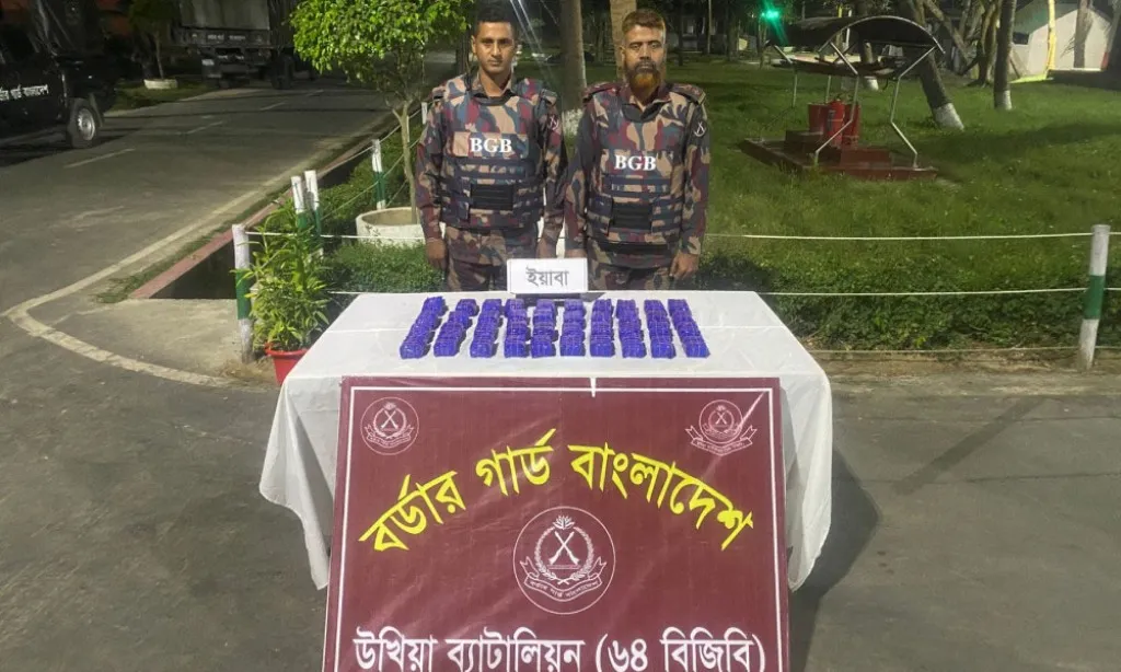 উখিয়ায় বিজিবির অভিযানে ৮০ হাজার ইয়াবা উদ্ধার