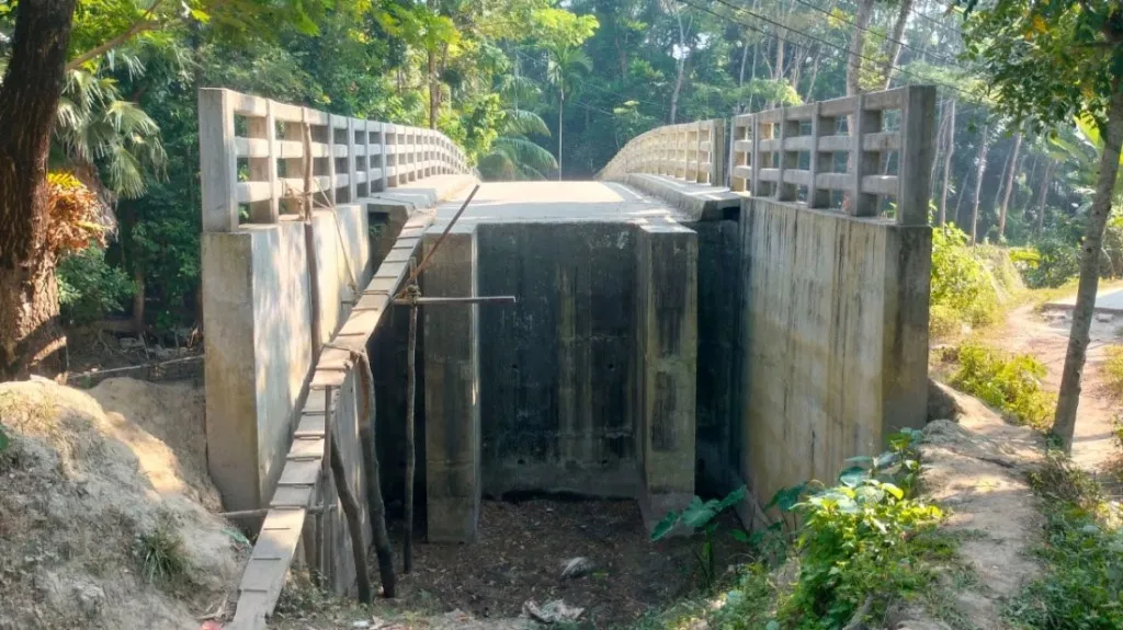 আড়াই কোটি টাকার সেতুতে উঠতে হয় মই দিয়ে, দুর্ভোগে হাজারো মানুষ