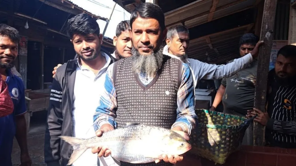 জেলের জালে রাজা ইলিশ, এক মাছের দাম ৮ হাজার দুইশ