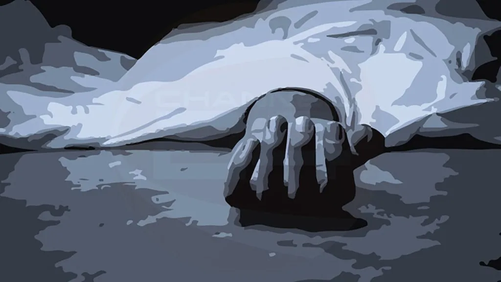 বরগুনায় নছিমন উল্টে প্রাণ গেল শ্রমিকের