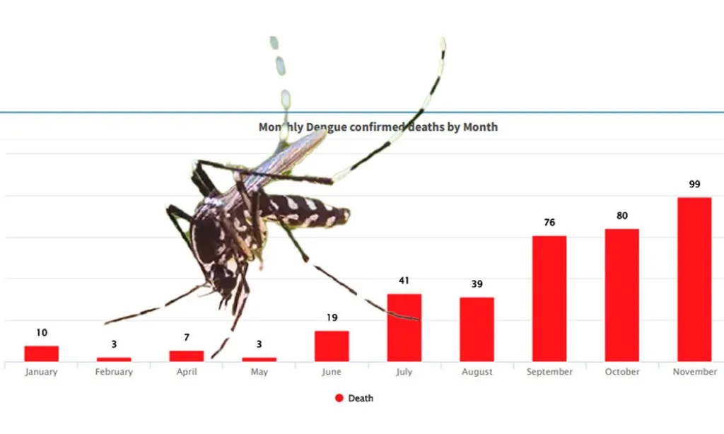 নভেম্বর মাসে ডেঙ্গুতে ৯৯ জনের মৃত্যু, চলতি বছরে সর্বোচ্চ