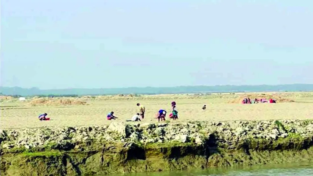 তরমুজ চাষের ‘আতুড়ঘর’ ভোলার চরফ্যাসন, ব্যস্ত সময় পার করছেন কৃষকরা