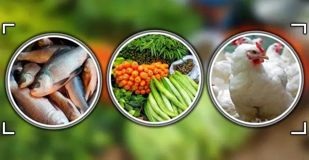 বরিশালে সবজির দাম কমলেও বেড়েছে কাঁচামরিচের