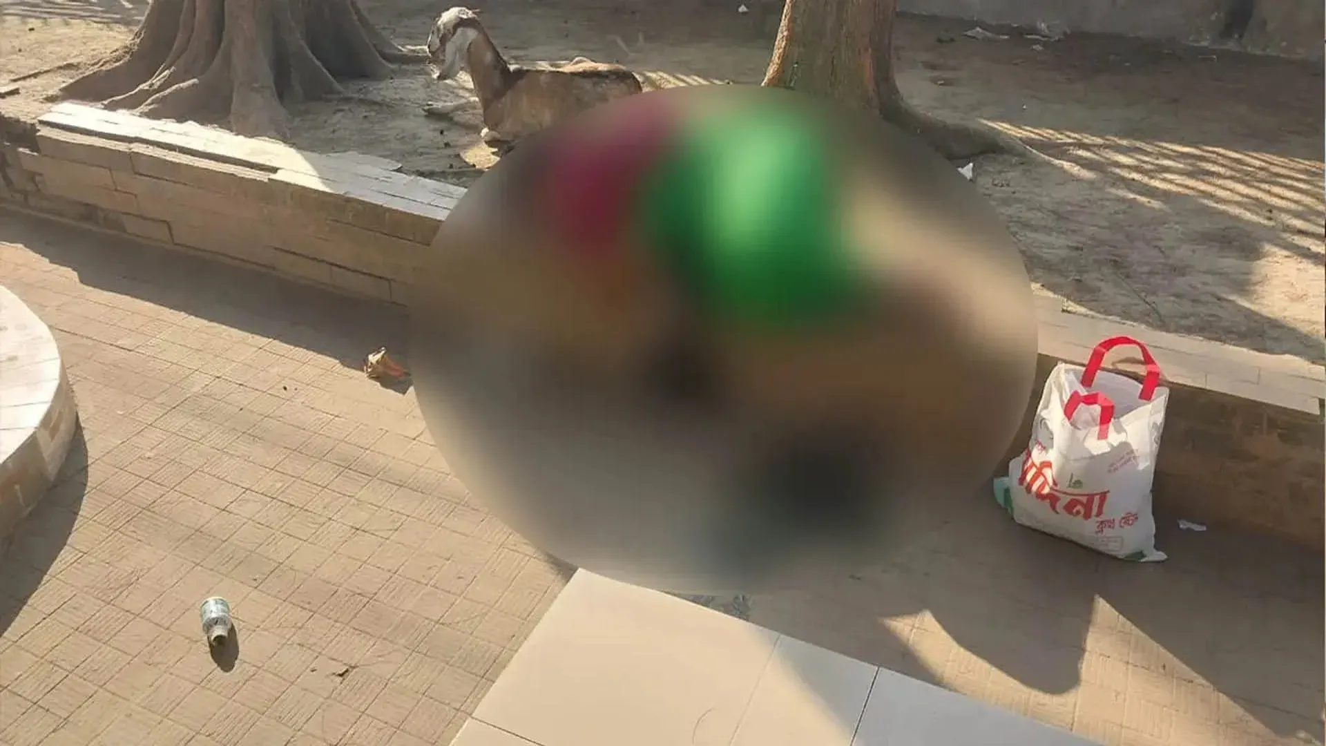 বরিশালে কাফনের কাপড় নিয়ে পার্কে বসে তরুণীর বিষপান