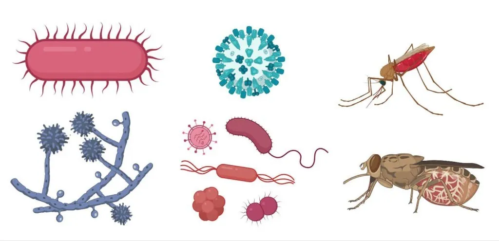 দক্ষিণাঞ্চলে স্বাস্থ্যঝুঁকি বাড়াচ্ছে সংক্রামক রোগ