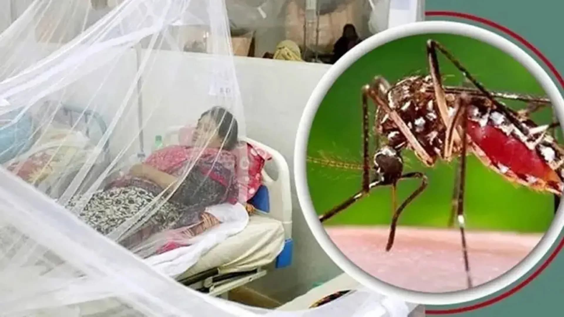 বরিশালে চোখ রাঙাচ্ছে ডেঙ্গু, ‍একদিনে তিন জনের মৃত্যু