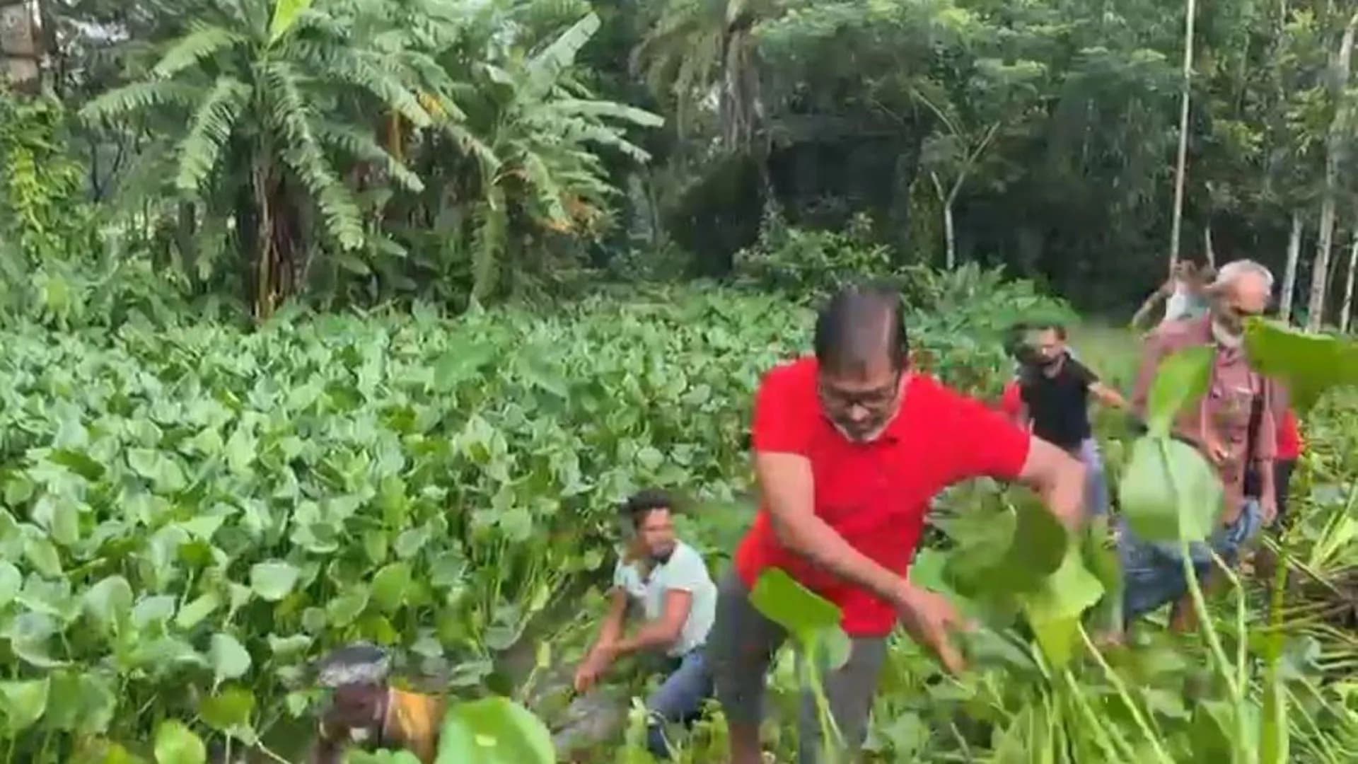 বাউফলে অতিরিক্ত বৃষ্টির কারনে বীজতলা ক্ষতিগ্রস্থ হওয়ায় সেচ্ছাশ্রমে খাল অবমুক্ত