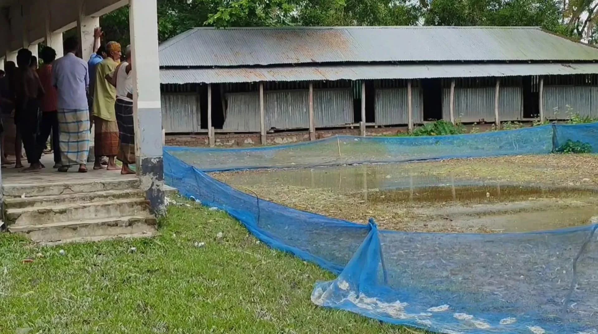 বাউফলে মাদ্রাসার খেলার মাঠে ধান চাষের অভিযোগ 