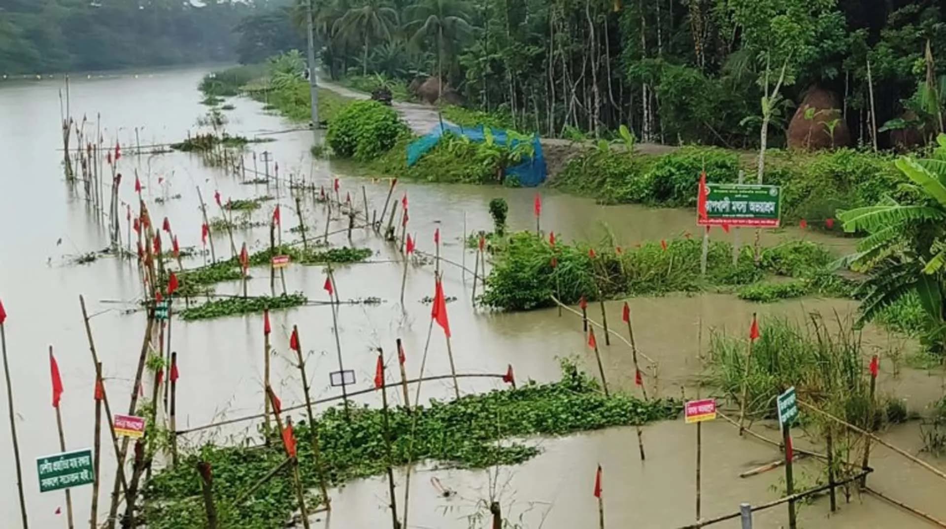 বরগুনায় মা মাছ রক্ষায় অভয়াশ্রম, বেড়েছে দেশীয় মাছ 