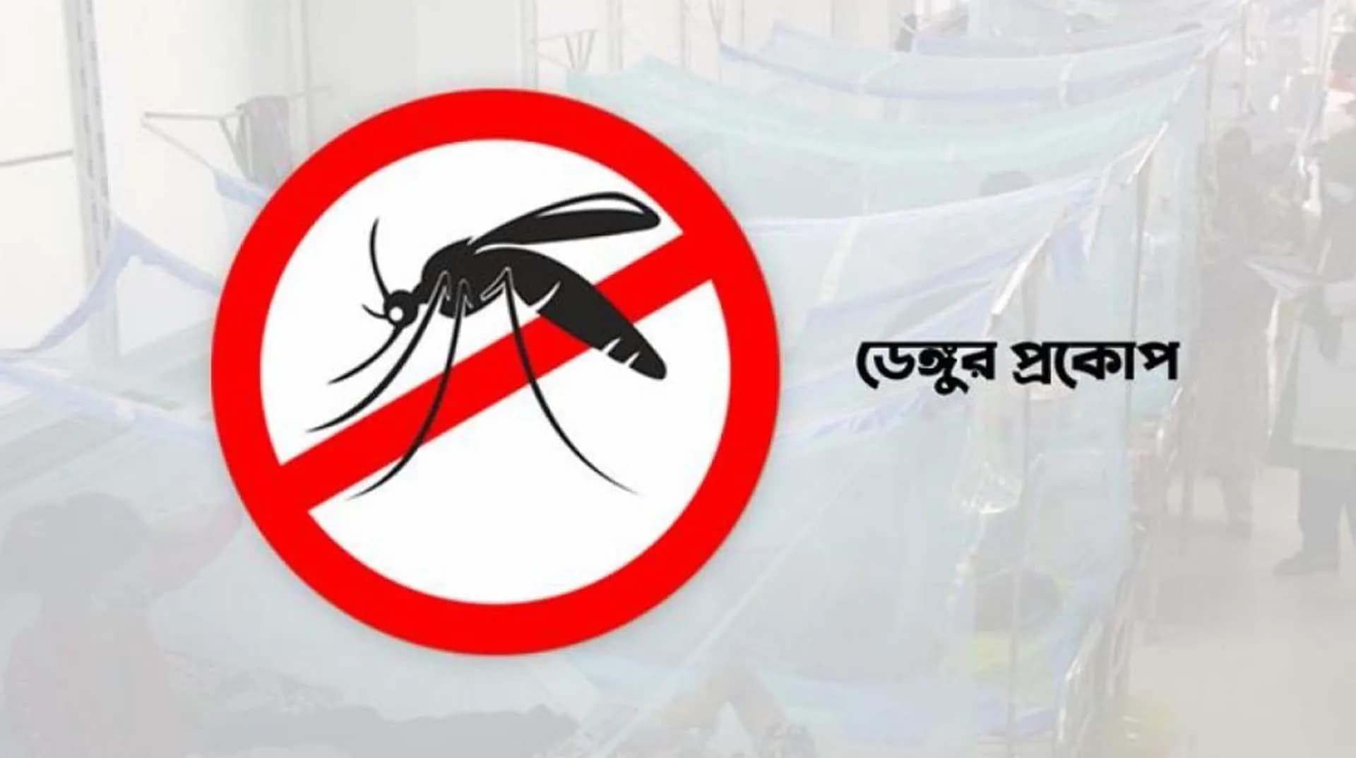 বরগুনায় ডেঙ্গু রোগীর সংখ্যা ৫ হাজার ছাড়ালো