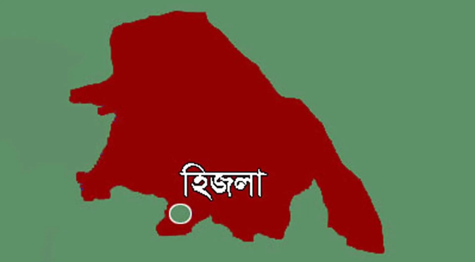 হিজলায় মেঘনা নদীতে জাহাজের ধাক্কায় মাল বোঝাই জাহাজ ডুবি