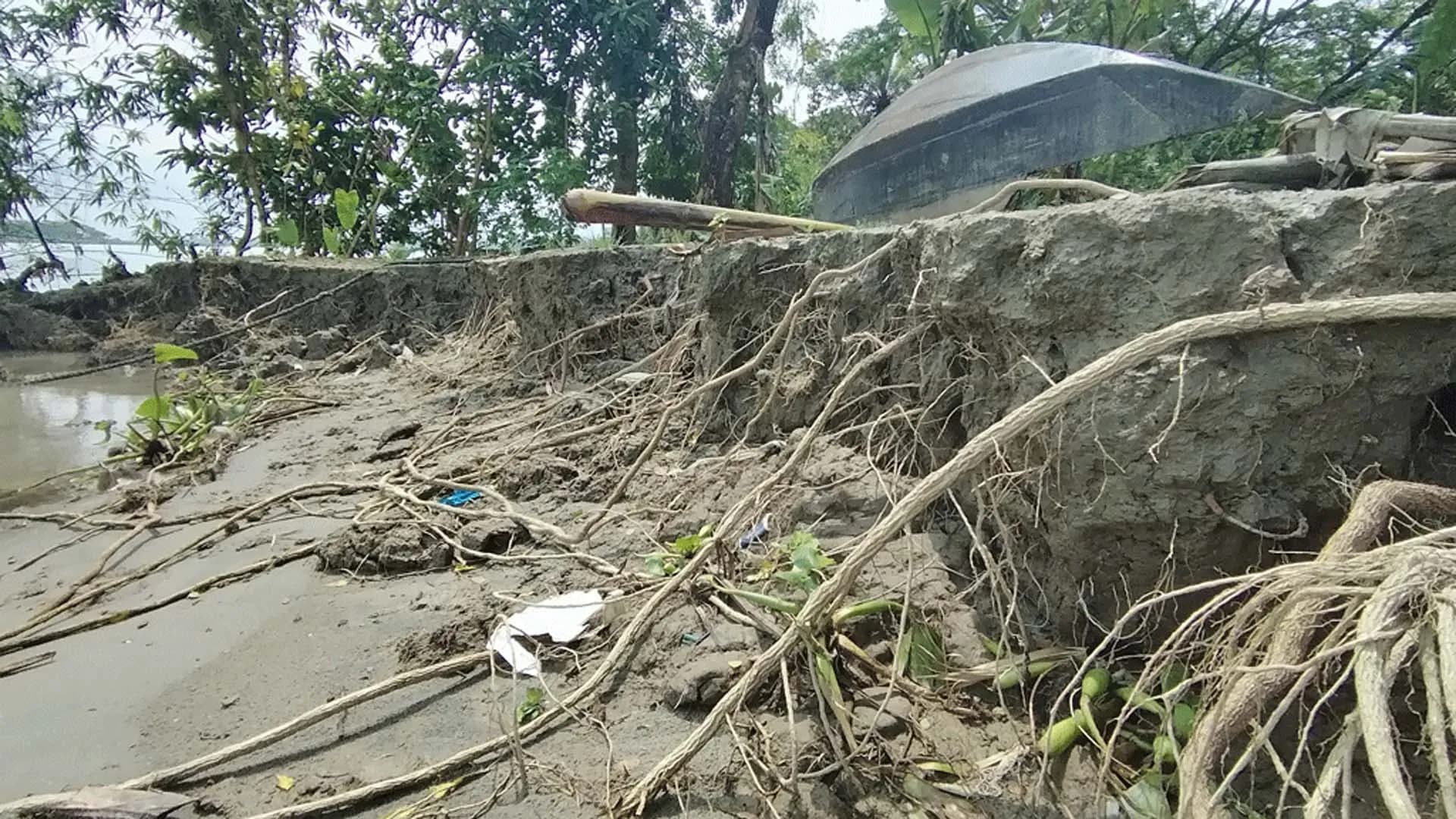 ঝালকাঠিতে সুগন্ধার ভয়াবহ ভাঙনে বসতবাড়ি হারাচ্ছে মানুষ