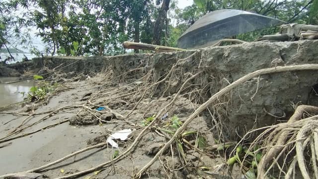 ঝালকাঠিতে সুগন্ধার ভয়াবহ ভাঙনে বসতবাড়ি হারাচ্ছে মানুষ