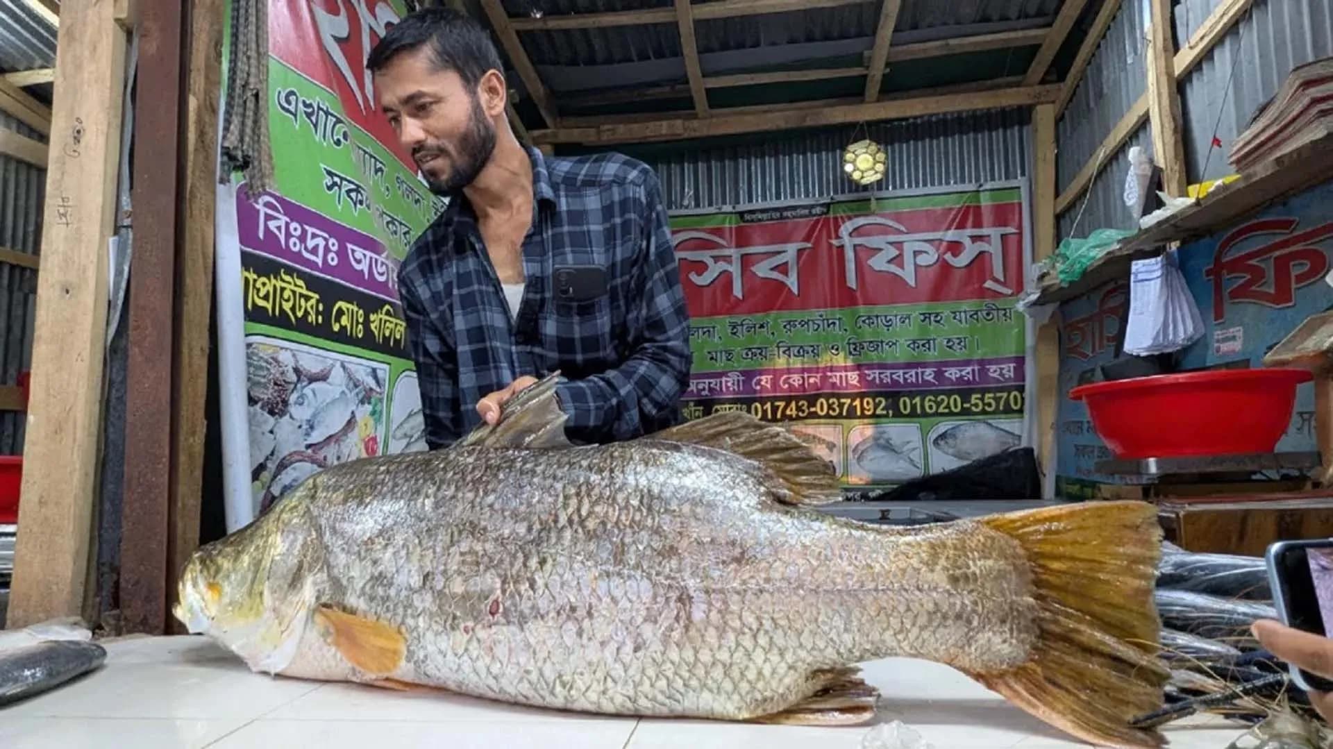 কুয়াকাটায় ২১ কেজির কোরাল, বিক্রি হলো ৩৫ হাজারে