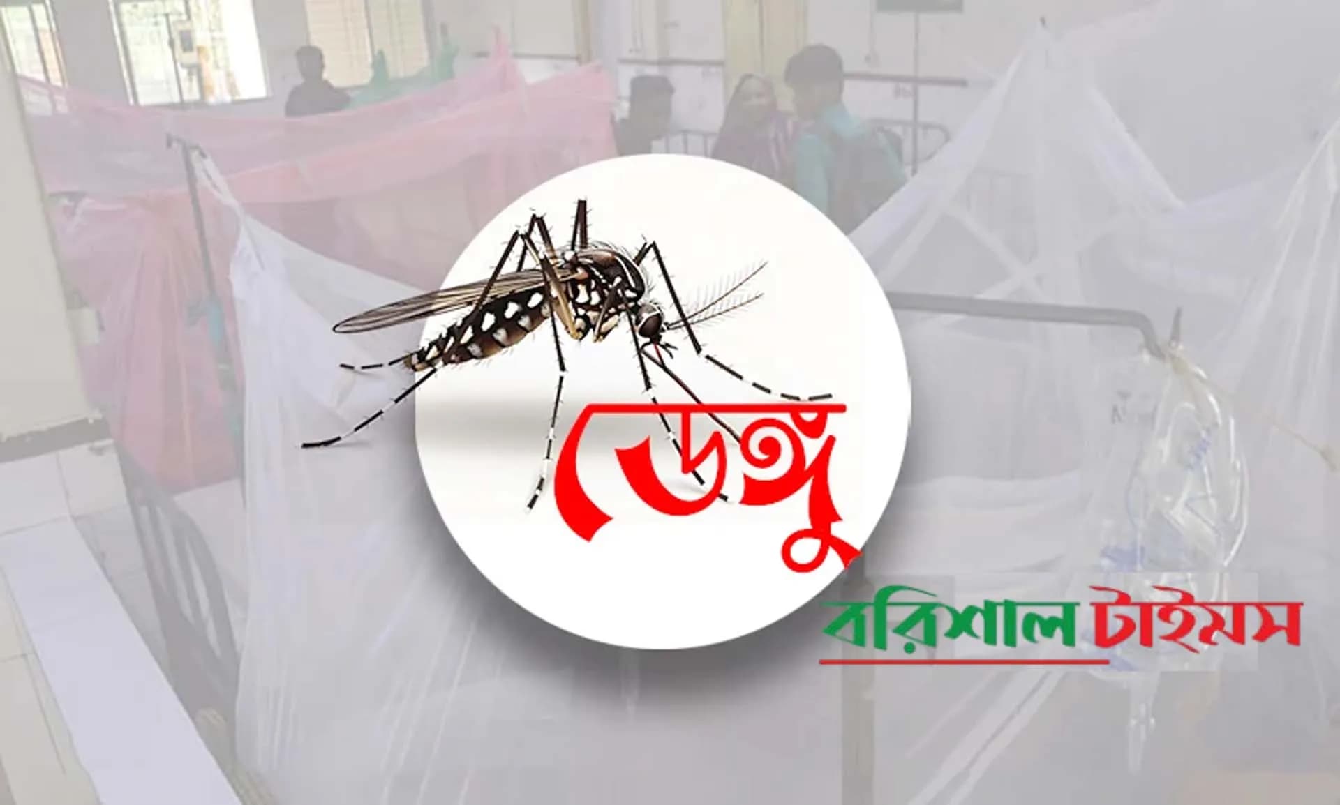 আগস্টে ডেঙ্গুতে প্রাণ গেল ৩৯ জনের 