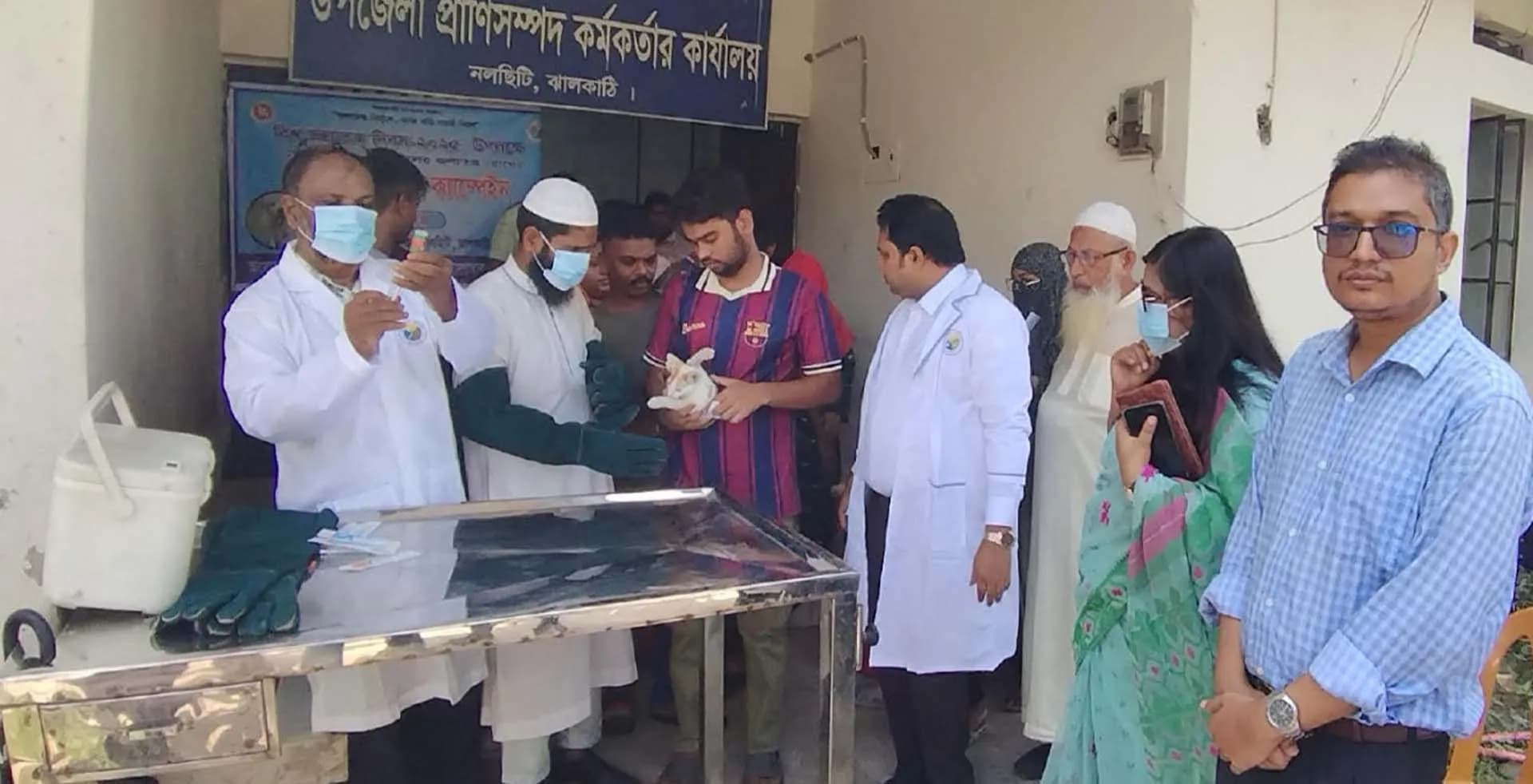 নলছিটিতে শতাধিক কুকুর-বিড়ালকে দেওয়া হলো জলাতঙ্কের টিকা