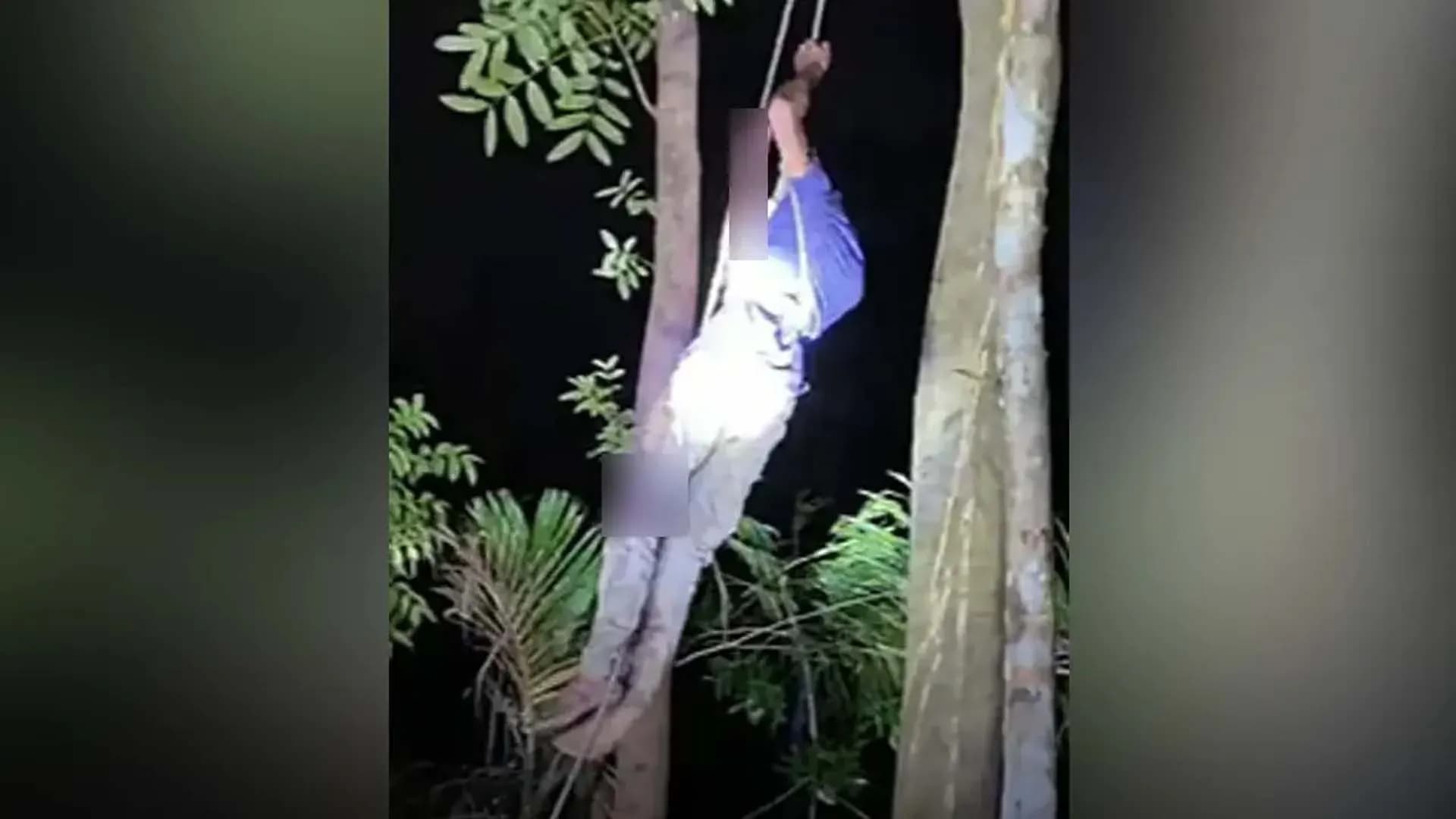 পটুয়াখালীতে শিশুকে হত্যার পর ৭০ ফুট গাছের ওপর ওঠেও রক্ষা পেল না যুবক