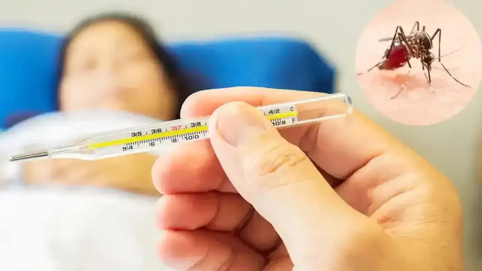 বরিশালে ডেঙ্গুতে মৃত্যু বেড়ে ৩৫, আক্রান্ত সাড়ে ১৫ হাজার