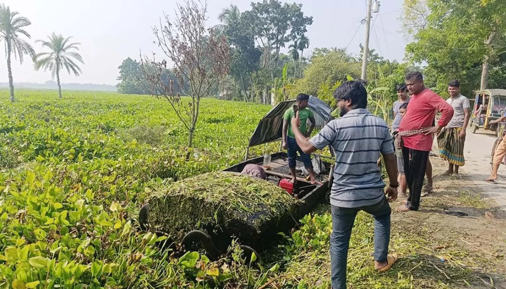 শার্শার ঠেঙামারী বিল : কচুরিপানায় ডুবে আছে হাজার হাজার বিঘা চাষের জমি