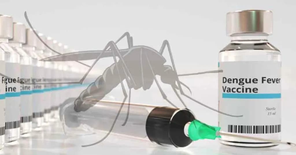  ডেঙ্গু টিকা কেন ব্যবহার করছে না বাংলাদেশ