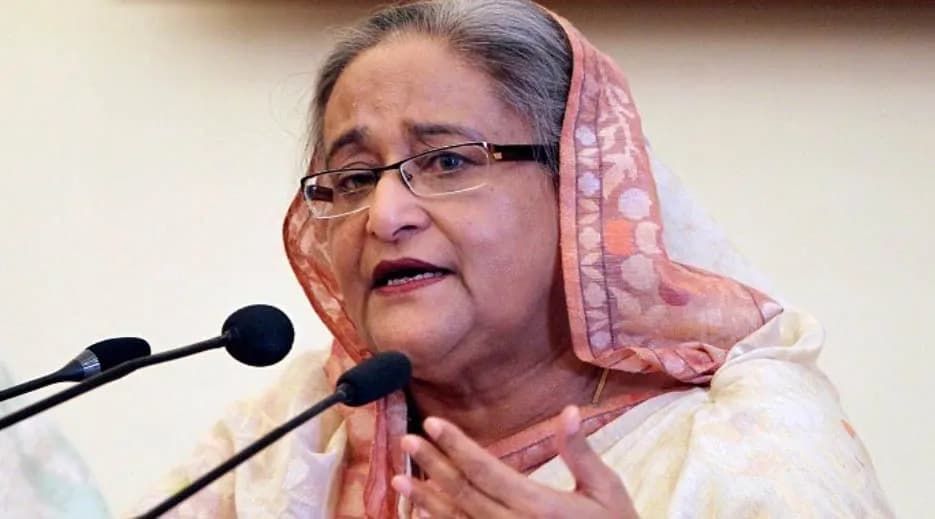 হাসিনাকে প্রমোট করতে ভারত সর্বশক্তি ব্যবহার করছে’  দাবি রনির