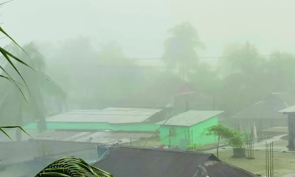 ঘন কুয়াশা আর ঠাণ্ডা বাতাসে উপকূলে জেঁকে বসেছে শীত