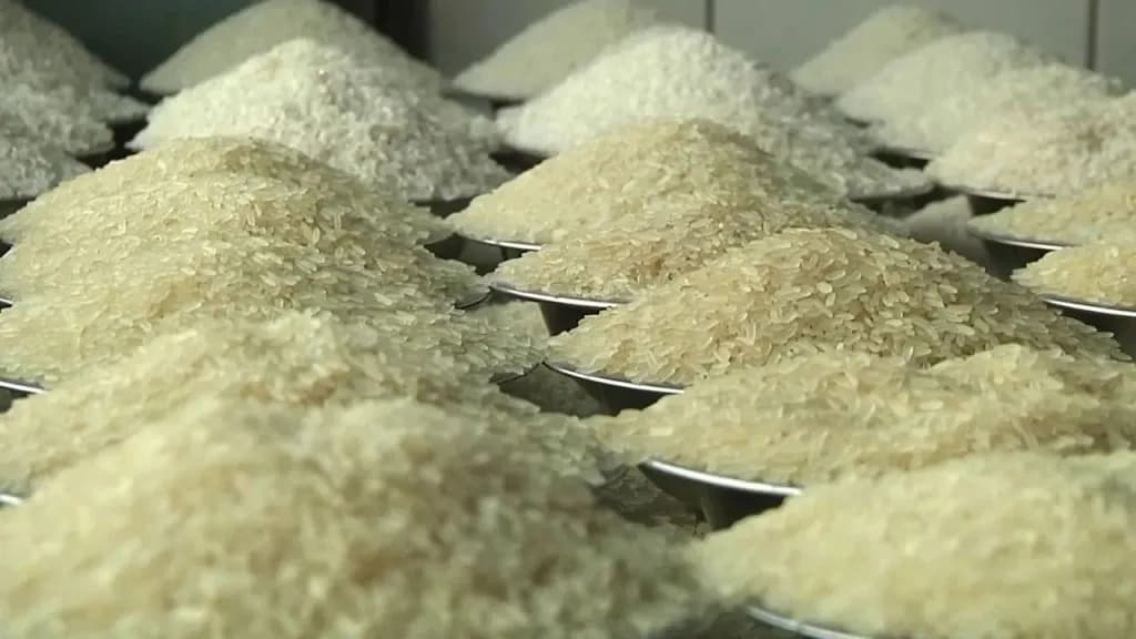 এশিয়ার বাজারে চালের দাম কমতির দিকে