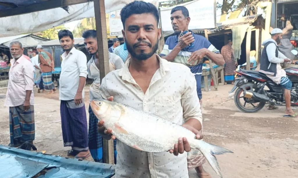 এক ইলিশের দাম ১৬ হাজার টাকা