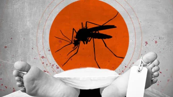 ডেঙ্গুতে মৃত্যু ৩৫০ ছাড়াল