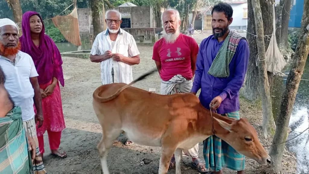 একসঙ্গে জন্ম নেওয়া পাঁচ শিশুকে গাভি উপহার