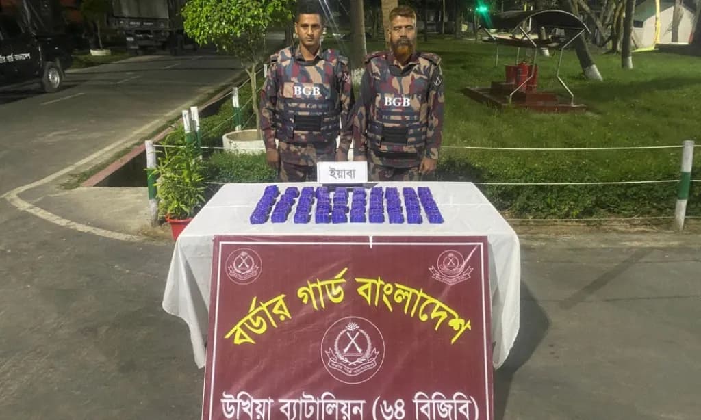 উখিয়ায় বিজিবির অভিযানে ৮০ হাজার ইয়াবা উদ্ধার