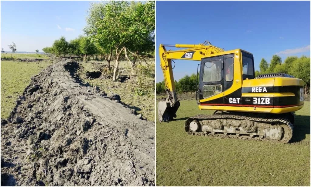 রাতের আঁধারে ধ্বংসযজ্ঞ চলছে রাঙ্গাবালীর সংরক্ষিত বনে