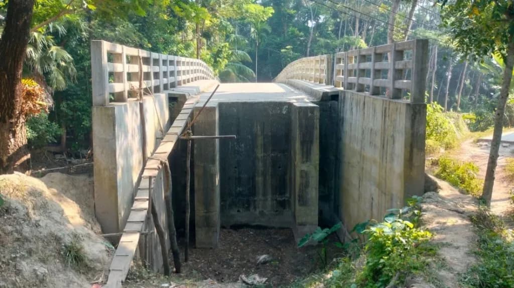 আড়াই কোটি টাকার সেতুতে উঠতে হয় মই দিয়ে, দুর্ভোগে হাজারো মানুষ
