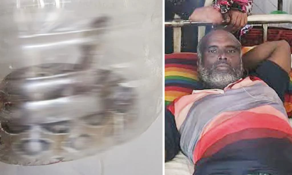 ধানক্ষেতে কামড় খেয়ে জীবিত রাসেলস ভাইপার নিয়ে হাসপাতালে কৃষক