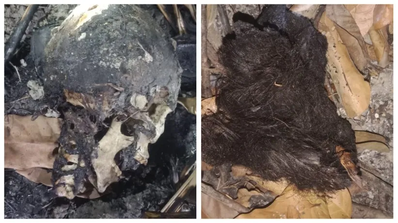 ঝোপঝাড়ে মিলল নারীর কঙ্কাল ও মাথার খুলি