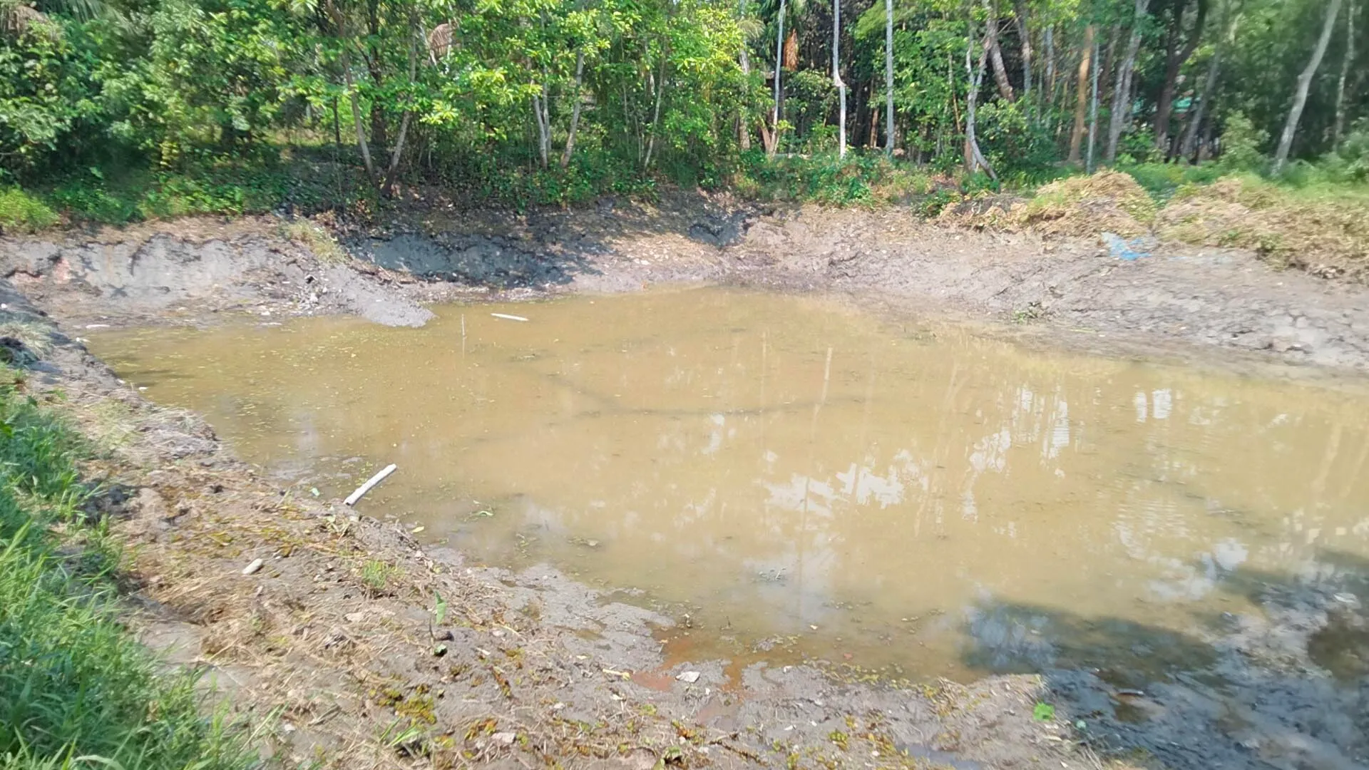 বরিশালে বিএনপি নেতার বিরুদ্ধে মাছ চুরির অভিযোগ, তদন্তে পুলিশ...