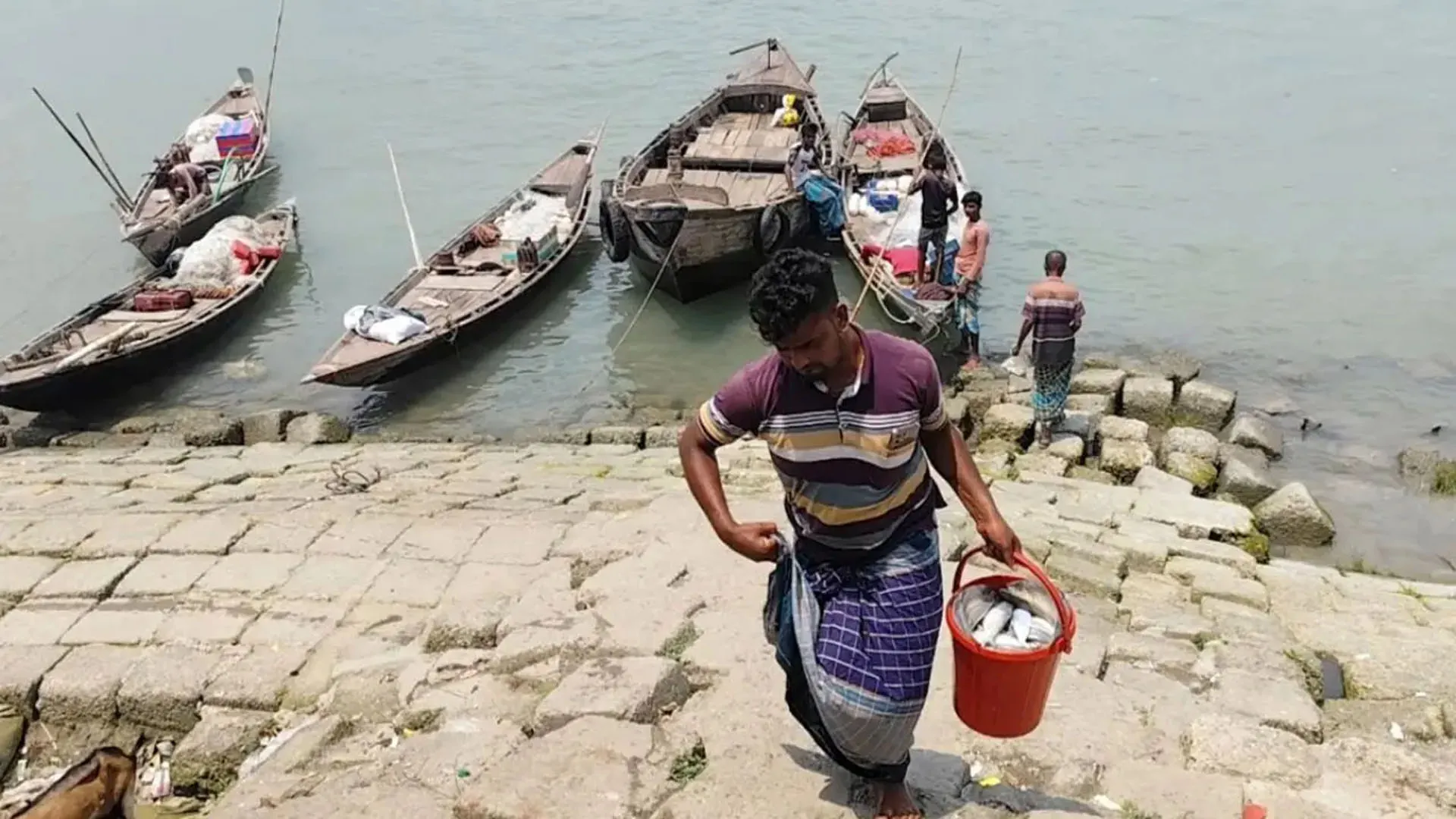 সরকারি নিষেধাজ্ঞা উপেক্ষিত, ভোলার মেঘনা-তেতুলিয়ায় চলছে ইলিশ ধরার মহোৎসব