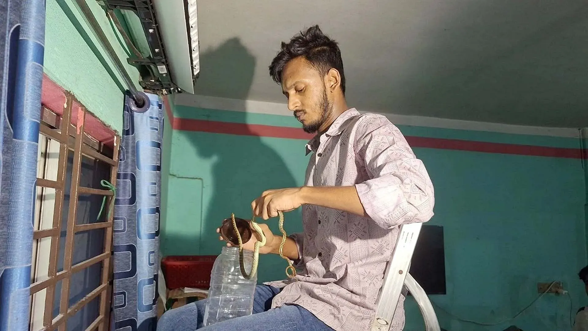 এসি থেকে ৪টি কালনাগিনী সাপ উদ্ধার