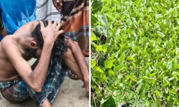 কচুরিপানাও বাঁচাতে পারল না চোর সুজনকে!
