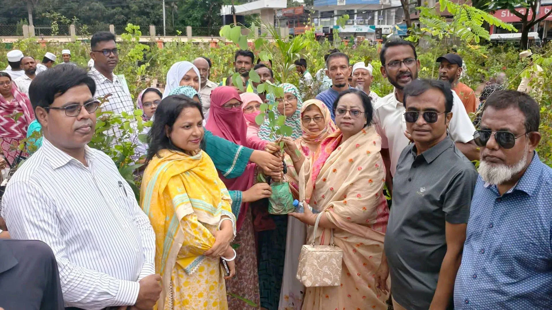 বরিশালের বিভিন্ন শিক্ষাপ্রতিষ্ঠানে ২০ হাজার গাছের চারা বিতরণ