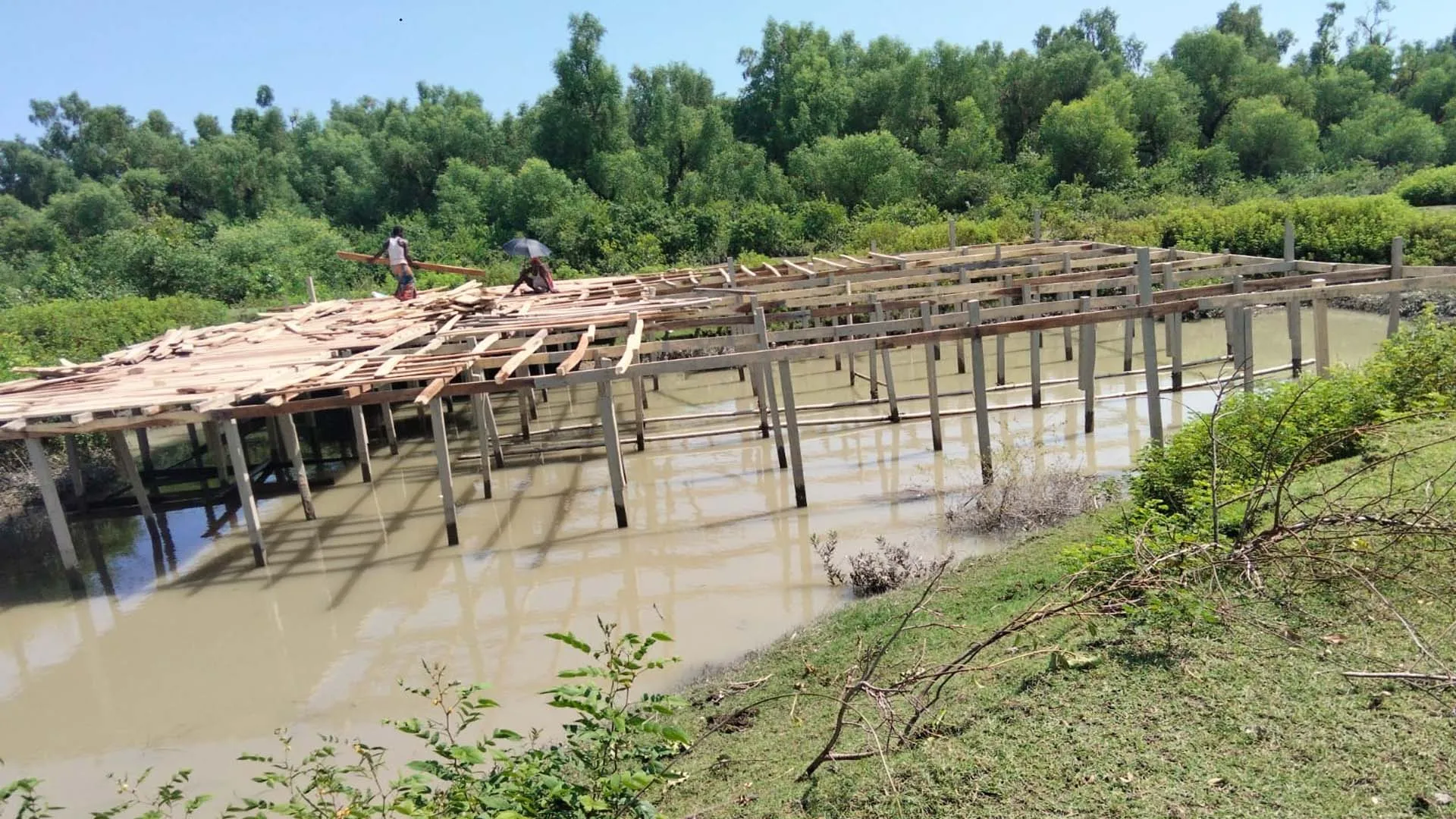 গঙ্গামতির সংরক্ষিত ম্যানগ্রোভ বনের পাশেই তোলা হচ্ছে স্থাপনা, হুমকিতে বনাঞ্চল প্রকৃতি